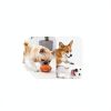 Dog Cologne ulroyda Pet Perfume Vanilla Coconut-6
