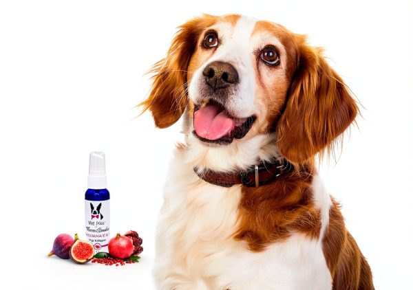 Dog Cologne Flat River 2oz Pomegranate Fig-2