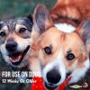 Showseason Dog Cologne Spray Pet Odor Control Safe-4