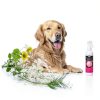 Best Shot Scentament Spa Pet Body Splash Dog Cologne-4