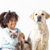 Pet Deodorizing Spray Animal Pharmaceuticals-3