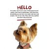 Lolitas Paws Dog Cologne Gentle Coconut Conditioner Fresh-4