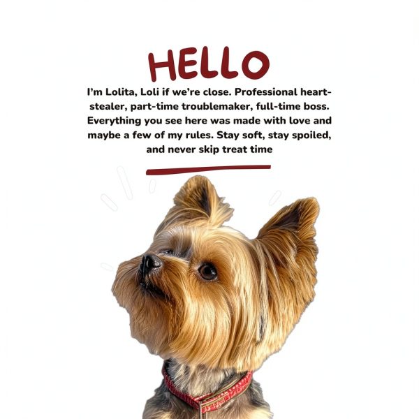 Lolitas Paws Dog Cologne Gentle Coconut Conditioner Fresh-4