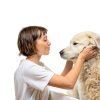 Dog Cologne PBI Gordon 21571 Fresh Scent Pet-4