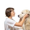 PetAg Dog Cologne Spray Fresh Scent 22oz-4