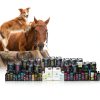EQyss Marigold Pet Spray Moisturizing Grooming Spray-4