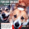 Showseason Dog Cologne Odor Control Safe Ingredients-4