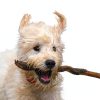 MarshMello Dog Cologne Plant Slippyness Marshmallow Scent-3