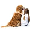 Dog Cologne Holiday Scents Odor Control Safe Ingredients-6