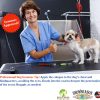 Showseason Dog Cologne Spray Pet Odor Control Safe-3