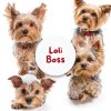 Lolitas Paws Dog Cologne Gentle Coconut Conditioner Fresh-6