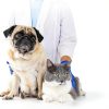 Pet Deodorizing Spray Animal Pharmaceuticals-5