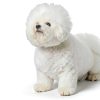 CHI For Dogs Detangling Finishing Spray Pet Grooming-5