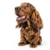 CHI For Dogs Detangling Finishing Spray Pet Grooming-4