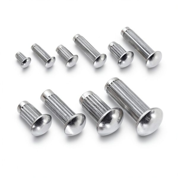 Keadic 190Pcs 304 Stainless Steel Brazier Head Solid Rivet Set-2