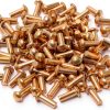 Biaungdo Copper Solid Rivets 1/8 inch Diameter 5/16 L Shank 100pcs-0