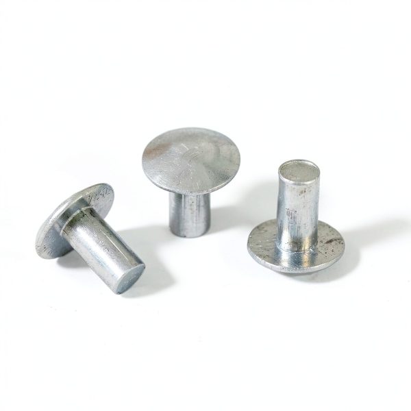 3/16" x 3/8" Brazier Head Solid Aluminum Rivets – 100 Pack by Baudelun-3