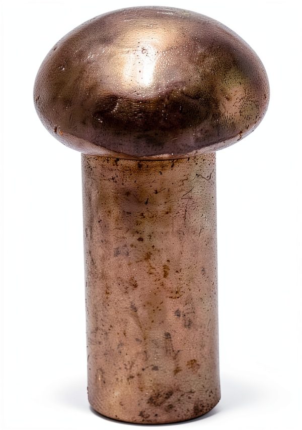Biaungdo Copper Solid Rivets 1/8 inch Diameter 5/16 L Shank 100pcs-2